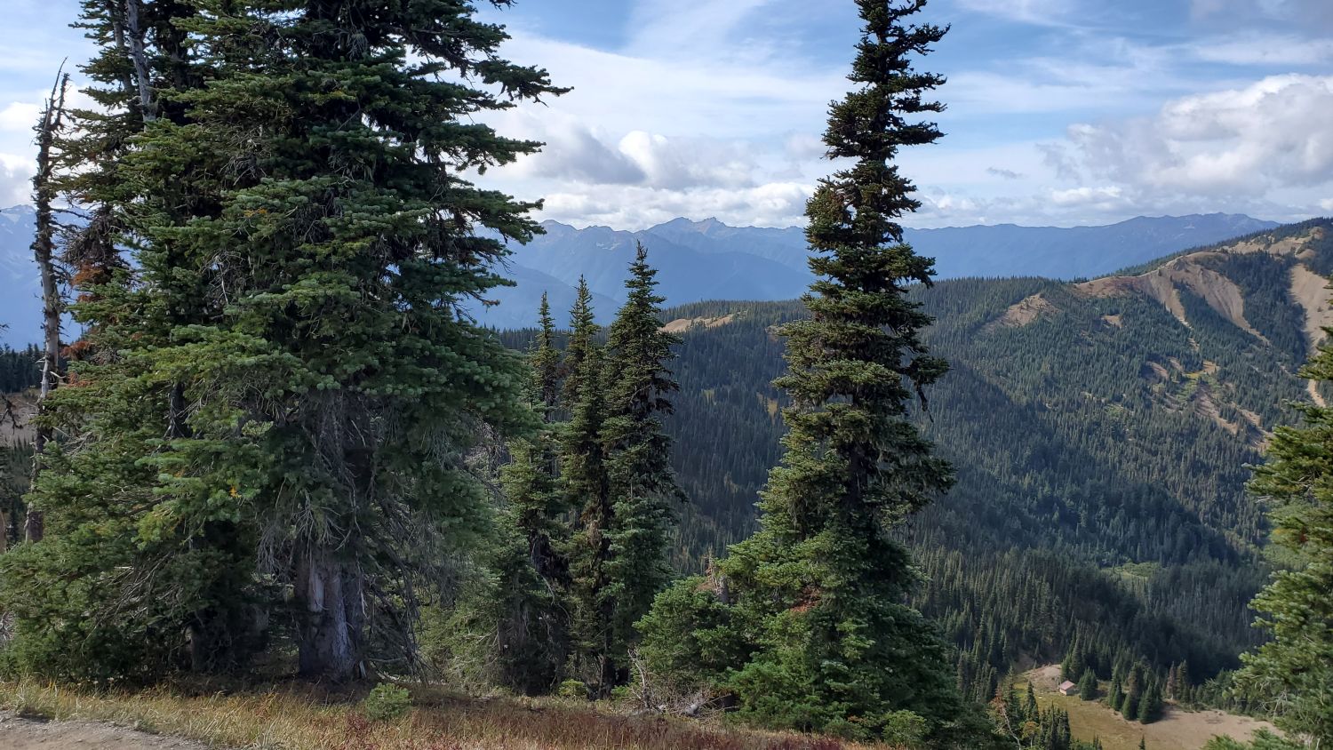 Olympic NP 